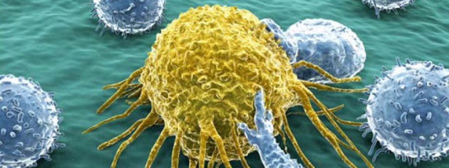 Nanomateriales: se detectan efectos fibrosantes sobre los pulmones