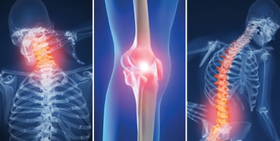 Gua de Prevencin de trastornos musculoesquelticos en el mbito sanitario