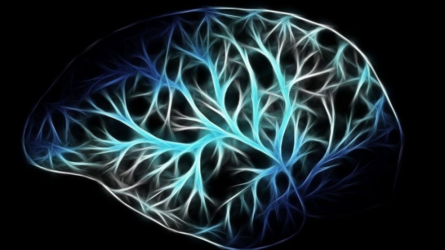 La exposicin electromagntica en el trabajo no se asocia con un aumento del riesgo de tumores cerebrales 