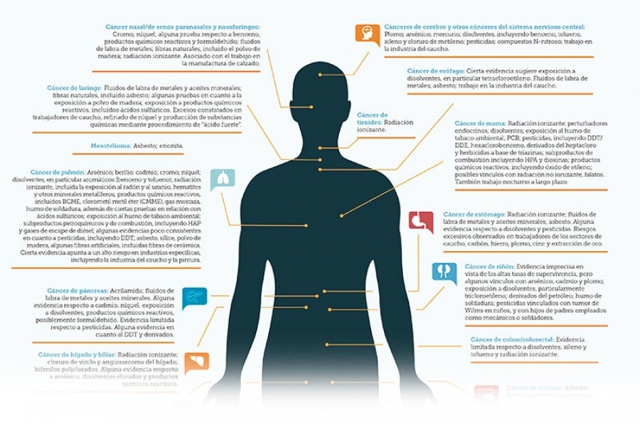 Tipos de cncer y causas relacionadas con el trabajo